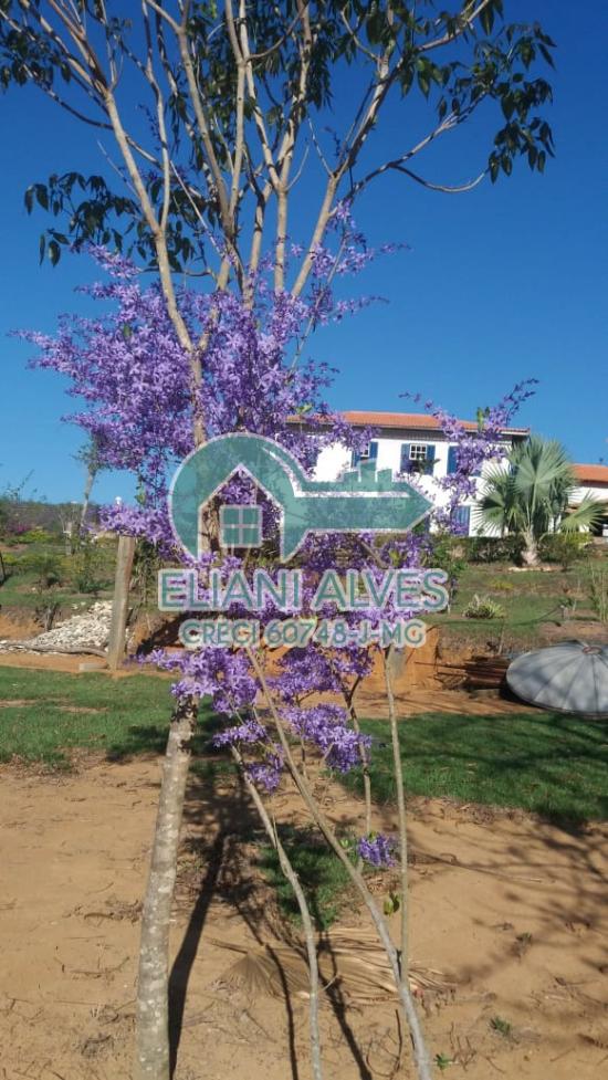 pousada-venda-bicas-mg-1069795