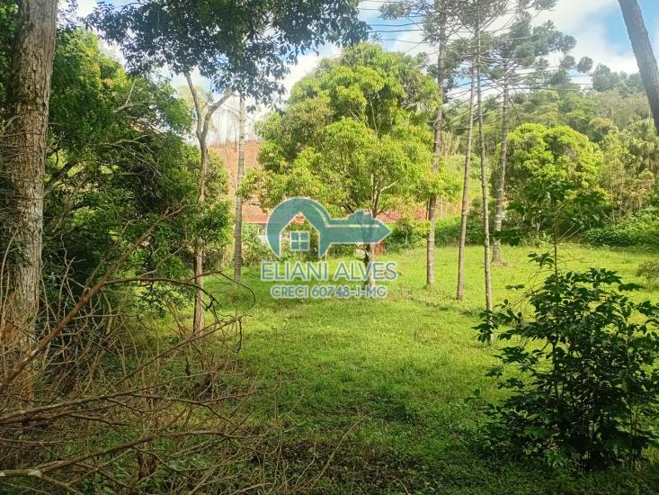 chacara-venda-granjas-triunfo-juiz-de-fora-mg-1080684