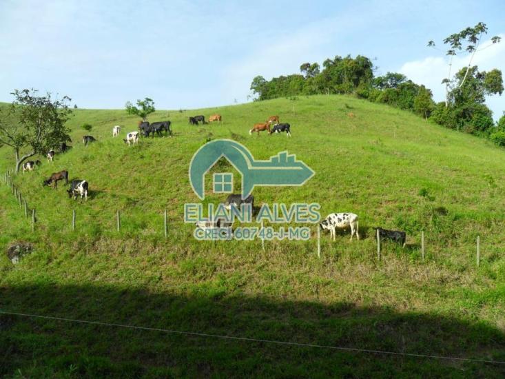 sitio-venda-centro-santos-dumont-mg-1031267