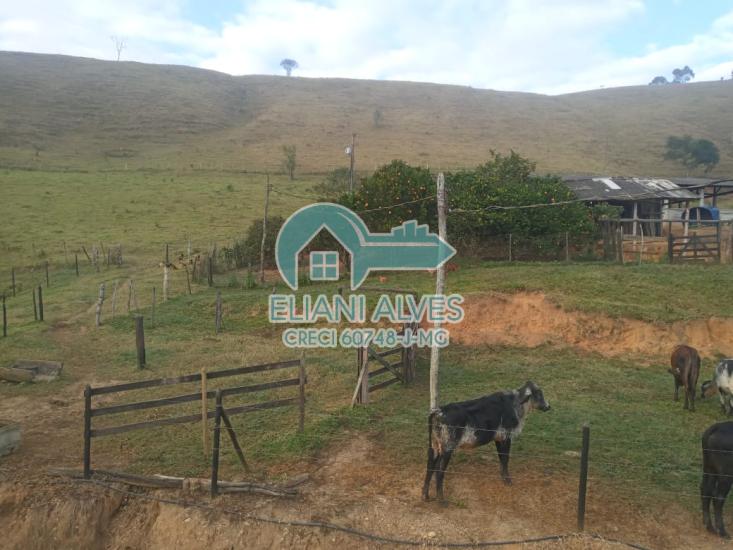 sitio-venda-centro-santos-dumont-mg-1031614