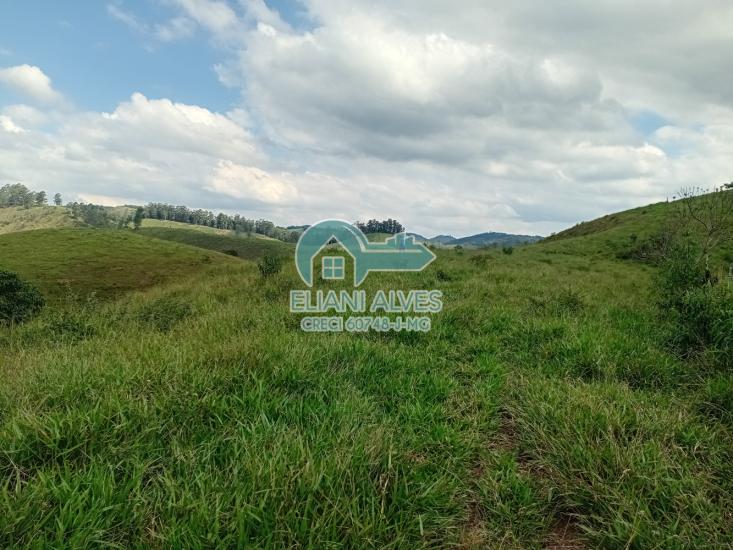fazenda-venda-santa-barbara-do-monte-verde-mg-1105377