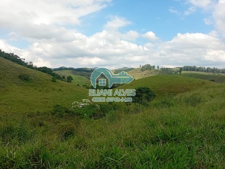 fazenda-venda-santa-barbara-do-monte-verde-mg-1105378