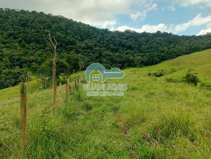 fazenda-venda-santa-barbara-do-monte-verde-mg-1105379