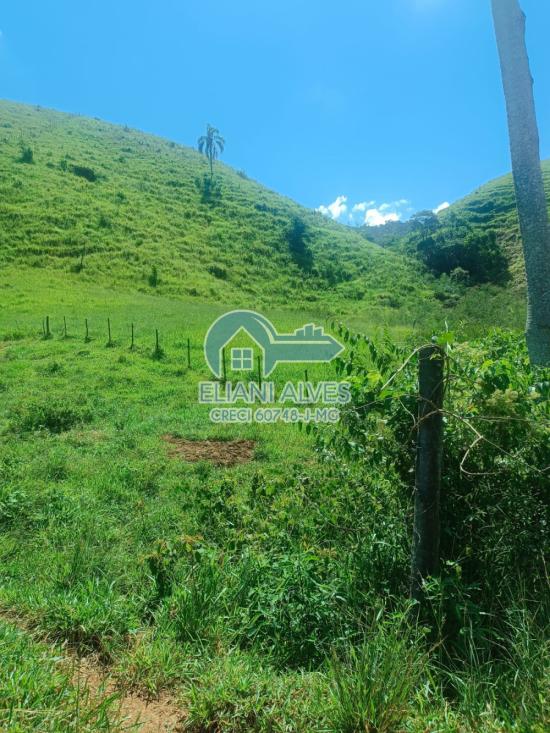 fazenda-venda-santa-barbara-do-monte-verde-mg-1105386
