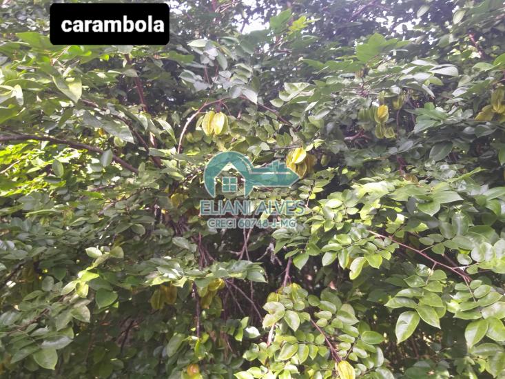 chacara-venda-monte-verde-juiz-de-fora-mg-1051509